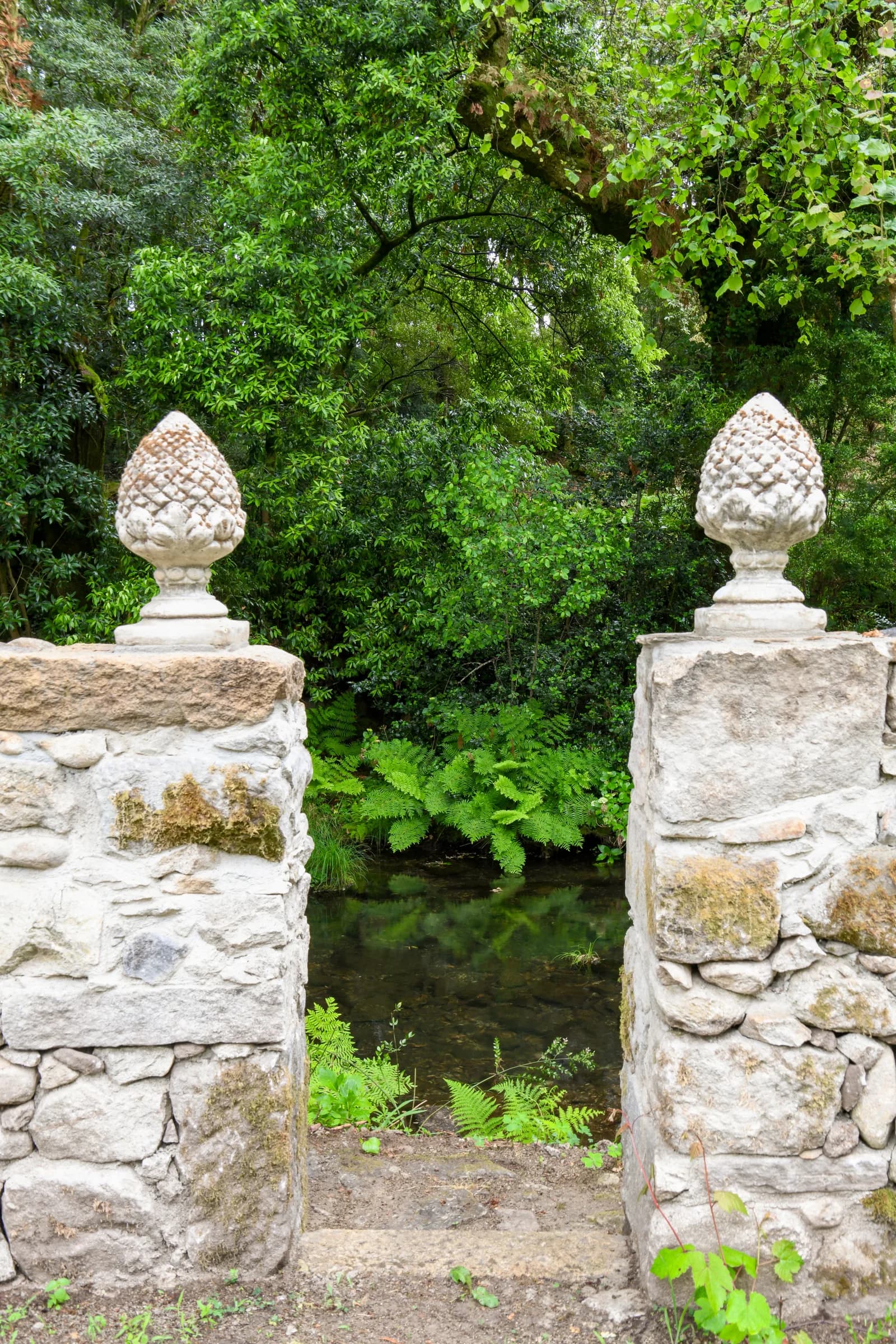 Le chemin vers la rivière