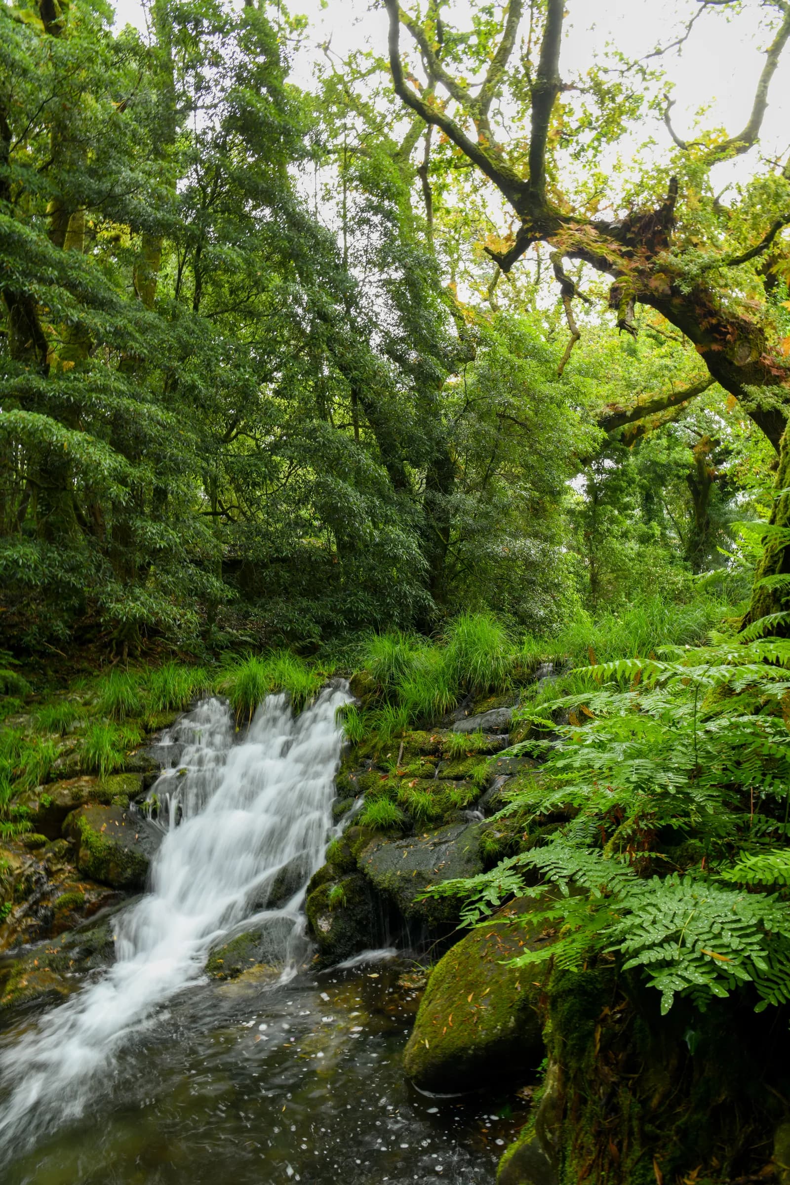 La cascade
