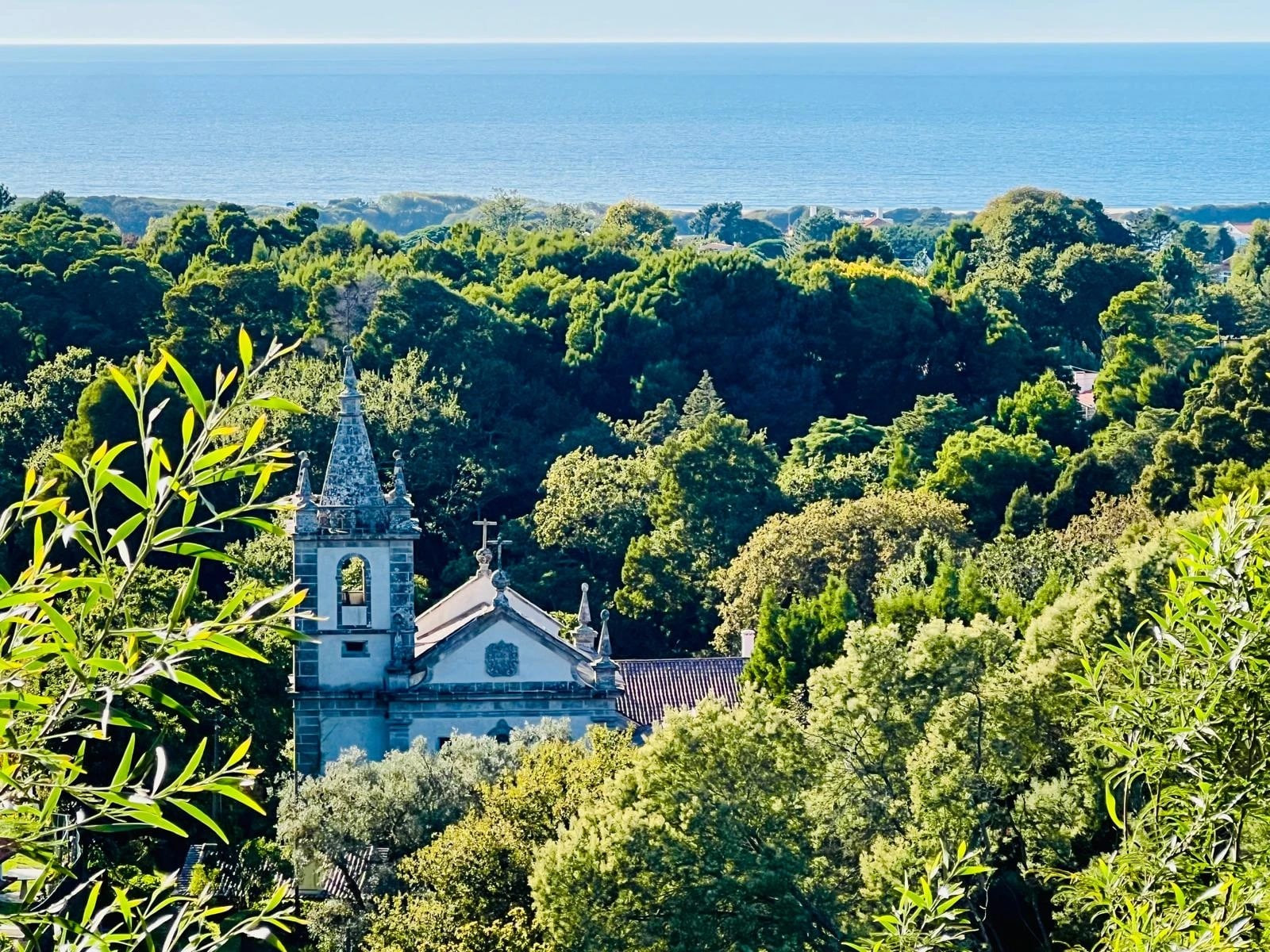 Le clocher de l’église du Convento au-dessus des bois, l’Atlantique au loin