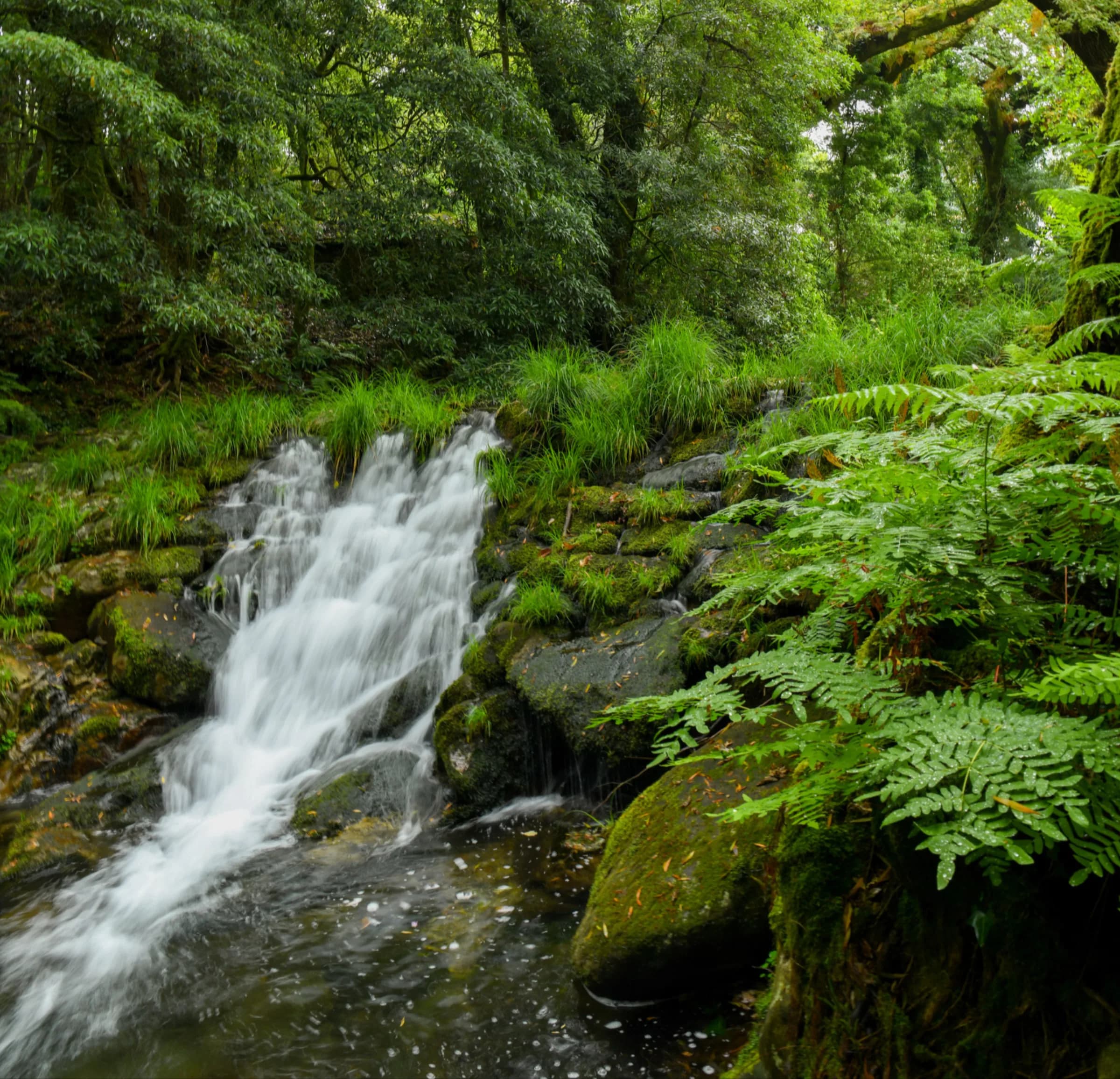 A natural pool on the Cabanas River, framed by rocks and greenery